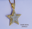 Iced Out Star Pendant Necklace | Diamond Star Charm Pendant | Gold CZ Star Necklace | Hip Hop Jewelry for Men Women | Celebrity Inspired Pendant