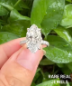 1.00ct Marquise Cut Lab Grown Diamond Ring: White Gold Pavé Band