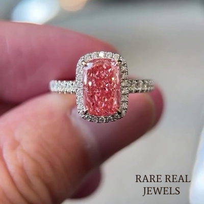 Follow us on Instagram